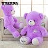 Purple Teddy Bear Plush Toy Cute Bear Doll Child Hug Bear Sleeping Pillow Girl Best Friend Birthday Gift Doll Kawaii