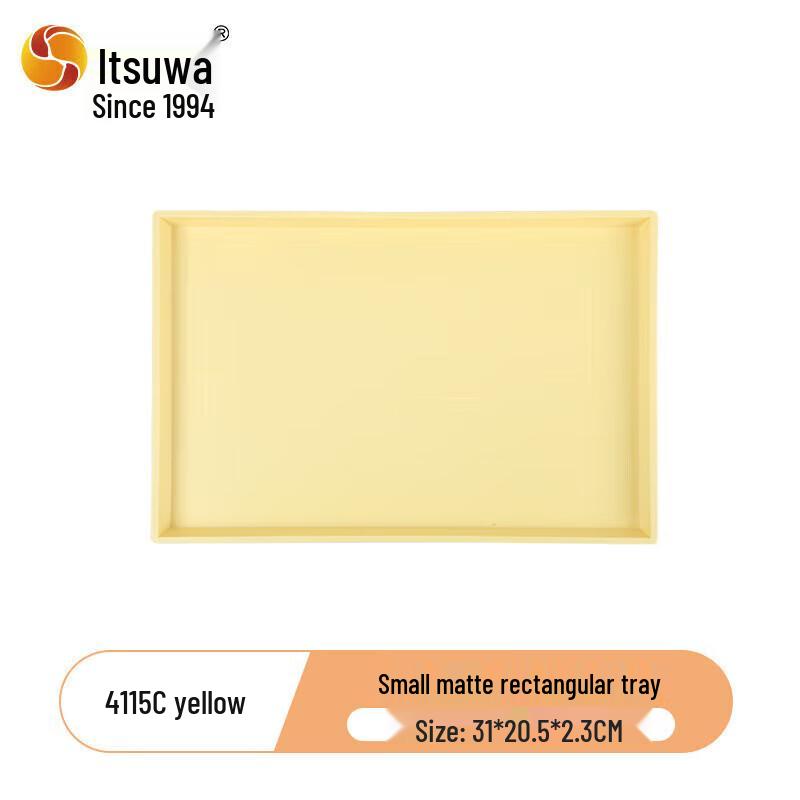 Nordic Minimalist Matte Rectangular Tray