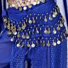 Sexy Show Costumes Tassels Hip Scarf Dancer Skirt Waist Chain Belly Dance Belt