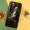 Johannes Vermeer Phone Case For iPhone 17 Pro Max 17Air 16E 15 14 13 12 11 16 Pro Max Mini Shockproof Cover