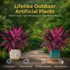 Large Realistic Artificial Boston Fern & Dragon's Blood Tree Artificial Turf UV Resistant Red Cordyline Ti Plants Red/Pink Vibrant Purple Leaves