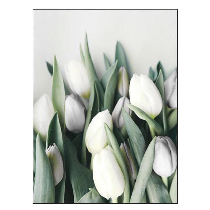 Белый тюльпан, зеленые суккуленты, алоэ монстера, растение, художественный плакат на скандинавскую тему, живопись на холсте и настенные панно для декора гостиной