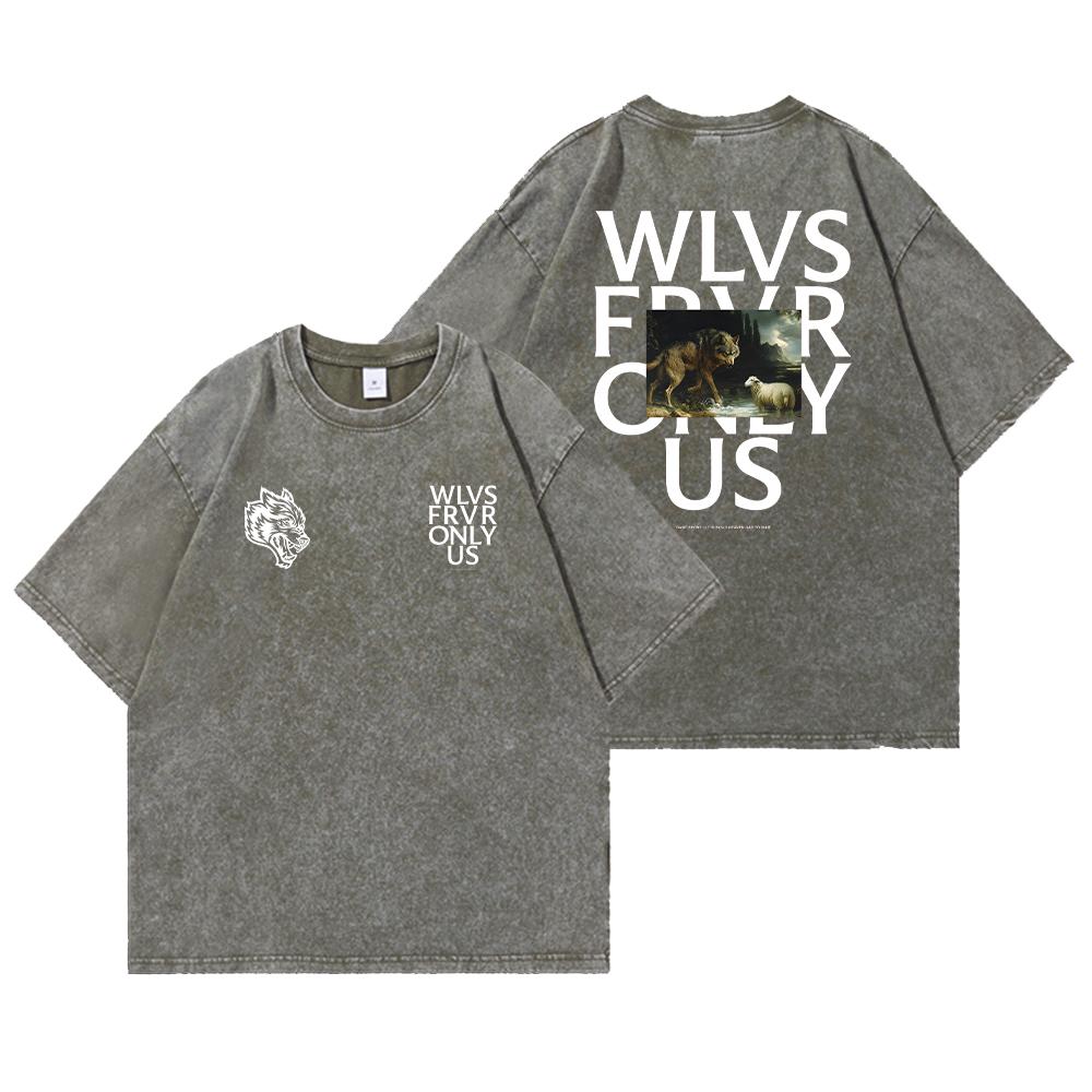 Darc Wolves Sport Vintage Washed T Shirts Gym Bodybuilding Oversize Men Clothing Summer Fitness TEE Workout Darc Sport T Shirts