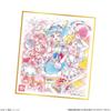 PreCure Shikishi Anniversary Candy Gum ART-20th Special-3 (10 Pieces) Toy/Chewing (PreCure Series)