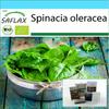 Подарочный набор - Органический - Шпинат - Гигантский зимний - 250 семян - С подарочной коробкой, карточкой, этикеткой и субстратом для рассады - Spinacia oleracea