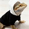 Warm Reptile Hoodies Handmade Bearded Dragon Hoodies Cute Lizards Clothes  Photo Outfit