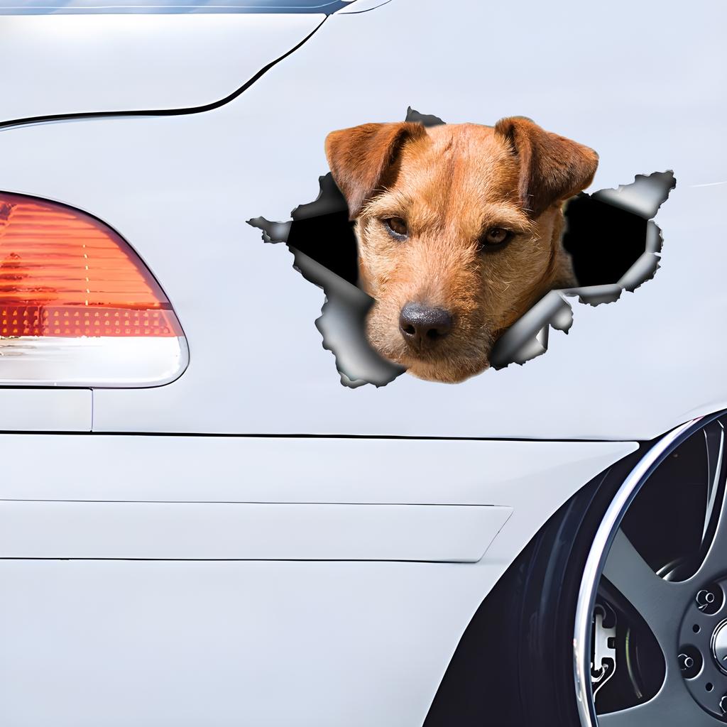Patterdale Terrier Car Stickers Funny Waterproof Vinyl Decal Motorcycle Decorative Accessories, Used for Car, Motorcycle, Laptop, Van
