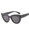 Cat Eye Sunglasses Personality Classic Cat Woman Glasses Retro Female Men Ladies Famous Brand Triangle Fashion Sun Glasses Eyewear For