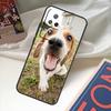 Beagle Dog Funda For POCO M6 Pro X3 X4 X5 X6 M5s F3 F5 Xiaomi 13T Pro 12T 11T 12 13 Lite 14 Ultra Case