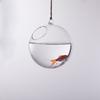 Прозрачная форма шара, стеклянная настенная ваза для цветов, бутылка для растений, домашний декор 10 см