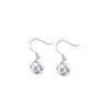 One-clar Hook Korean Version of Fashionable Geometric Ins Style Simple Versatile Earrings Zircon Stud Earrings
