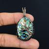 Tree Of Life Abalone Shell 999 Copper Wire Wrapped Pendant, Handmade Gemstone Pendant Jewelry, Gifts For Wife Brand New Pendant