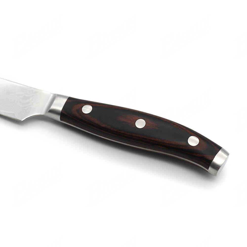 Damascus VG10 Kitchen Knife with Color Wood Handle Peeling Fruits Vegetable Sushi Knife Chef Cooking Knife