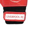 Liverpool FC Boys Goalkeeper Gloves