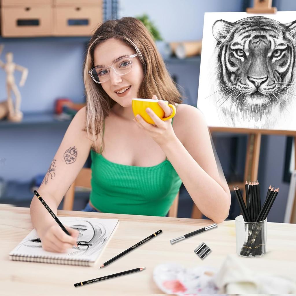 Drawing Sketching Pencil Set 21 Pack Art Pencil Kit with Graphite Pencils (14B-5H), Charcoal Pencil, Ideal for Shading, Blending, Drawing Set for