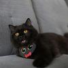 Слюнявчик для питомца Хэллоуин Мультяшный Кот Собака Слюнявчик Вечеринка Смешное Полотенце-шарф для слюны Аксессуары для питомцев