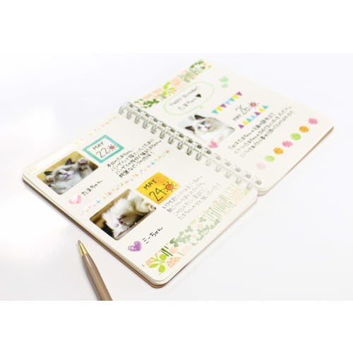 A-One Photo Stickers Photo Glossy Film (Plain White) Large 3 Sheets Set of 3 29663-3P