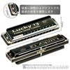 East Top Harmonica Blues Harmonica 13 Hole C Key Jazz Professional Adults Kids Study Practice Brass Cover Canvas Case Lucky13 (PowerDraw-C)