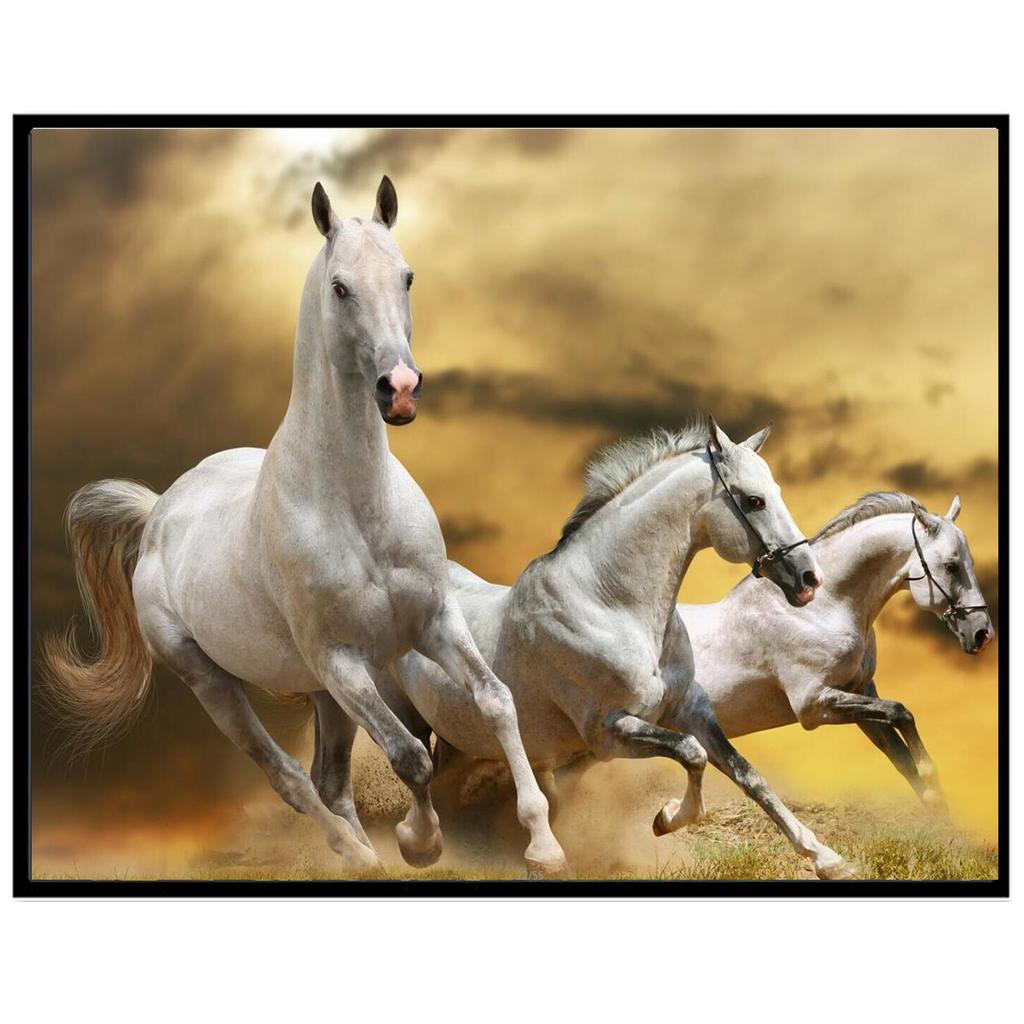 Dotzso Store 5D Diy Алмазная картина Полный круг Смола Животное Алмазная вышитая мозаика Картина Стразы Ремесла