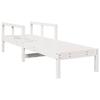 VidaXL Chaise Longue, Transat avec Dossiers Réglables et Accourdoirs, Bain de Soleil Jardin Piscine Terrasse Extérieur, 832539