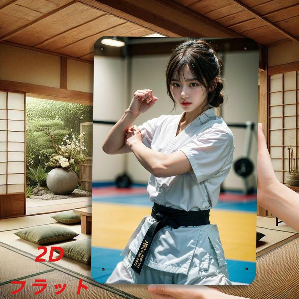 HD Metal Tin Sign Gorgeous Karate Girl In Gi Dojo Retro Metal Wall Art for Home Decor X Inch