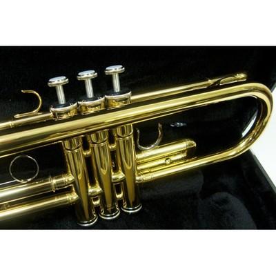 Труба Yamaha YTR-2330 in B, Золотой лак, Студенческая модель, с жестким кейсом, мундштуком