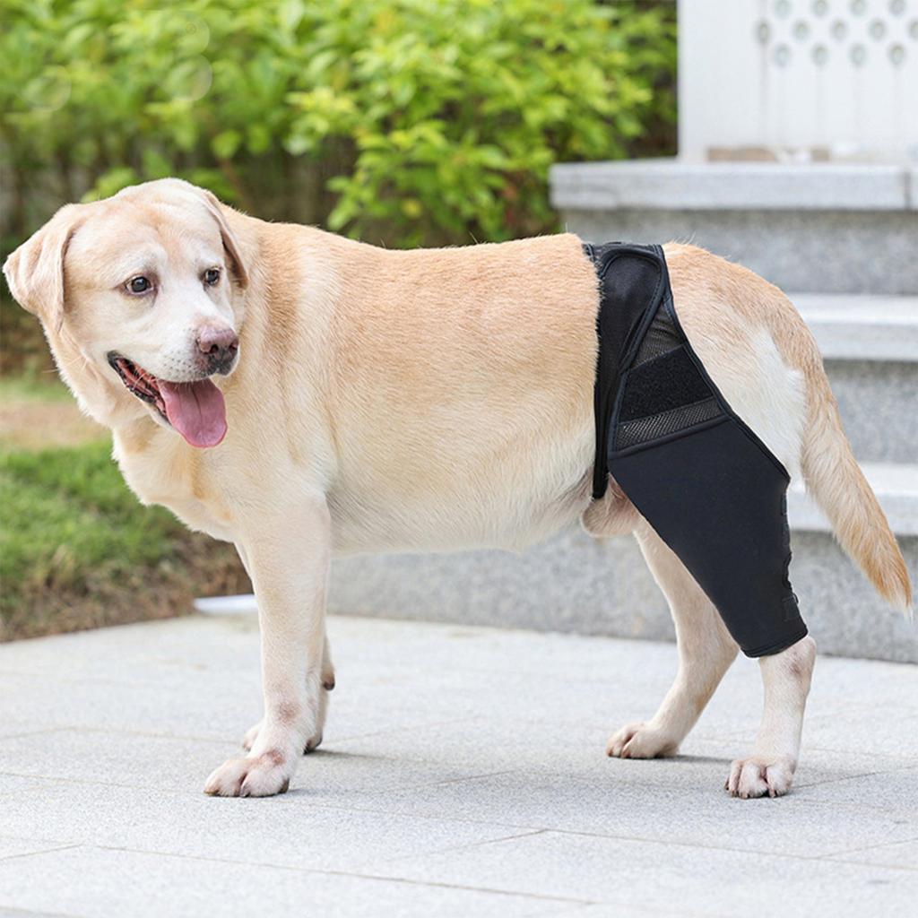 Pet Joint Brace Dog Fracture Disability Knee Brace Dog Leg Auxiliary Belt Small And Medium Dog Post-Operative Protective Cover