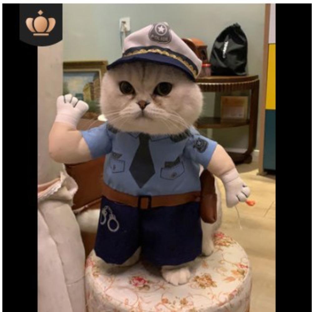 Pet Transformation Dog Funny Funny Standing Pirate Denim Pet Clothing Dog Dog Clothing