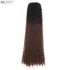 22"Passion Twist Crochet Hair Synthetic Braiding Hair Pre-Looped Water Hair Extensions Ombre Pre-Twisted Braids Hair Expo City