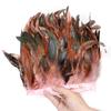 1 Meter Fluffy Natural Rooster Feather Trim Fringe Wedding Decoration Carnival Accessory Sewing Feather Ribbon 15-20 CM