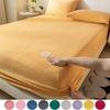 2025 Новая мягкая простыня теплая простыня на резинке покрывало для кровати фланель протектор матраса (Наволочка Нужен заказ)