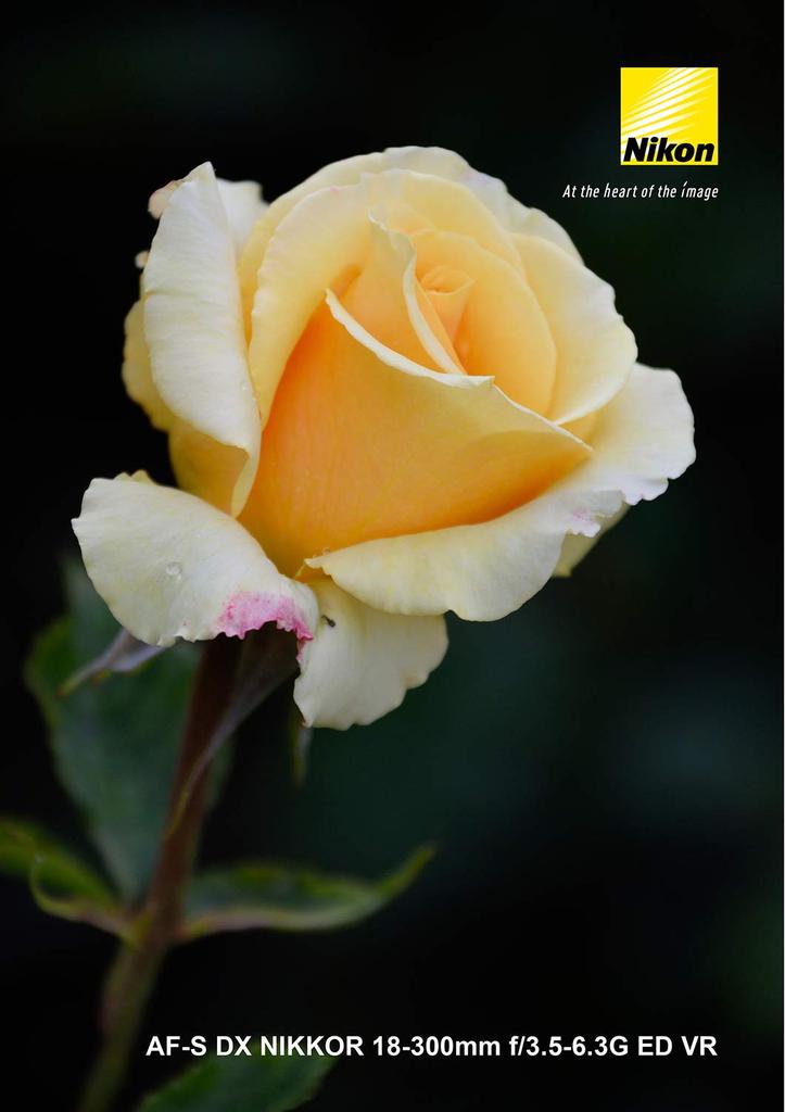 Nikon High Magnification Zoom Lens DX NIKKOR ED VR Exclusively for Nikon DX Format AF-S 18-300mm f/3.5-6.3G