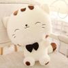 New Cute Cratoon Plush Toys Big Face Cat Doll Rice Balls Cat Lovely Gift