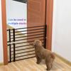 Мебель для помещений, перила для домашних животных, изоляционная дверь для домашних животных, забор для домашних животных
