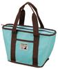 BBQ Picnic Tote Cooler Bag 4L Mint Green CS Charmant UE-557 Green