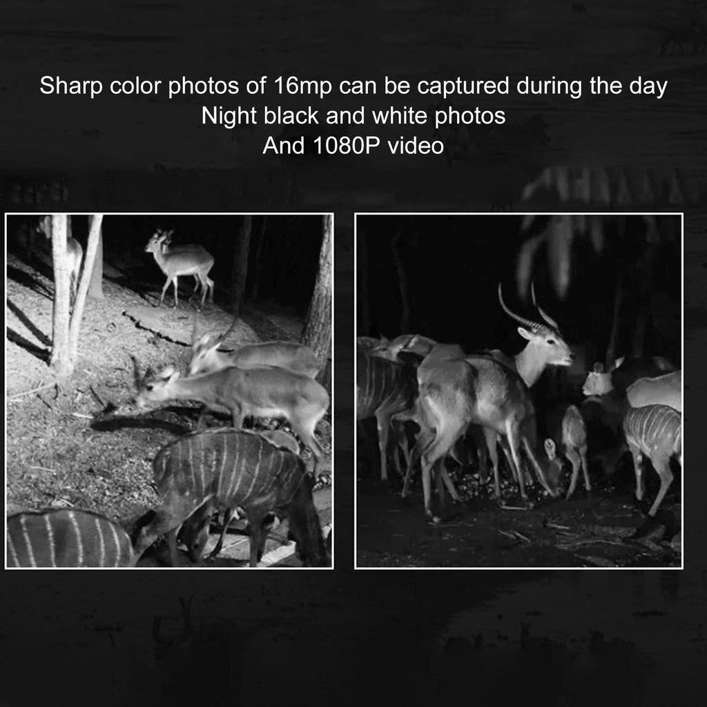Trail Camera 1.1 In Color Screen Motion Activated Metal and ABS 1.1s Trigger Speed Hunting Camera Night Vision for Livestock