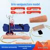 Multifunctional Venipuncture and Injection Training Arm