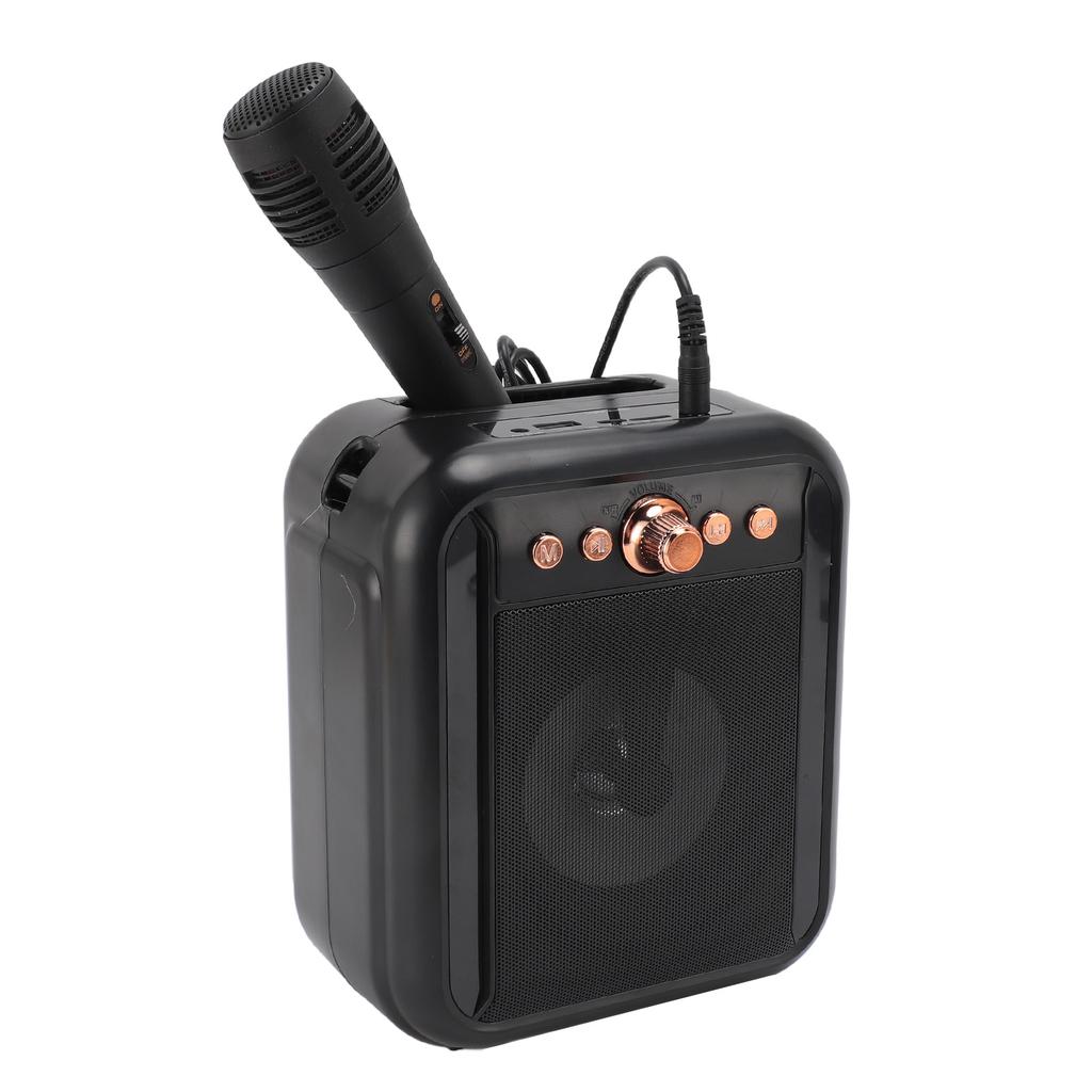 Karaoke Machine Clear Sound 3000mAh Battery Lower Noise Lightweight Bluetooth Karaoke Speaker