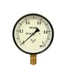 Migishita Seiki General-Purpose Pressure Gauge A100, G3/8, S-41, 1.0 MPA