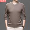 Men's V-Neck Pure Wool Sweater