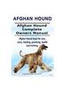 Книга Afghan Hound. Afghan Hound Complete Owners Manual. Afghan Hound Book for Care, Costs, Feeding, Grooming, Health and Training.