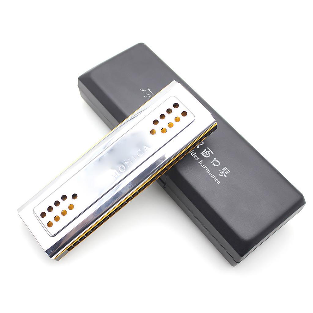 Двусторонняя тремоло-гармоника Swan 2 в 1, губная гармошка, дуральная, тональности C и G, 24 двойных отверстия, язычковый духовой инструмент с мягкой подкладкой