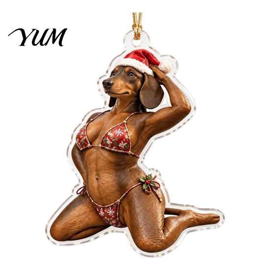 Christmas Tree Decorations Bikini Ornaments, Quirky Santa Claus Dachshund Highland Cow Hanging Decoration, Hilarious Decor Acrylic Pendant for
