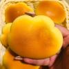 Карамельный цвет Облачный хлеб Медленный отскок Сжималка Музыкальная Декомпрессия Вентиляционная Игрушка Сквиши Декомпрессия Несъедобно