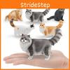 Кукла-тряпичная кошка Сомалийская кошка Фигурка Для детей ПВХ Модель животного Кошка Для обучения Игры