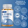 Airboy L-Lysine 500mg Capsules 120 Count — Immune Support, Collagen Support, Daily Wellness