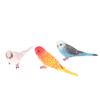 Simulation Parakeet Miniature Landscape Ornament Artificial Bird Model Props