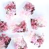 1 Box Preserved Flower Beautiful Bright-colored Dried Flower Stylish Visual Effect Dried Flower Display for Home