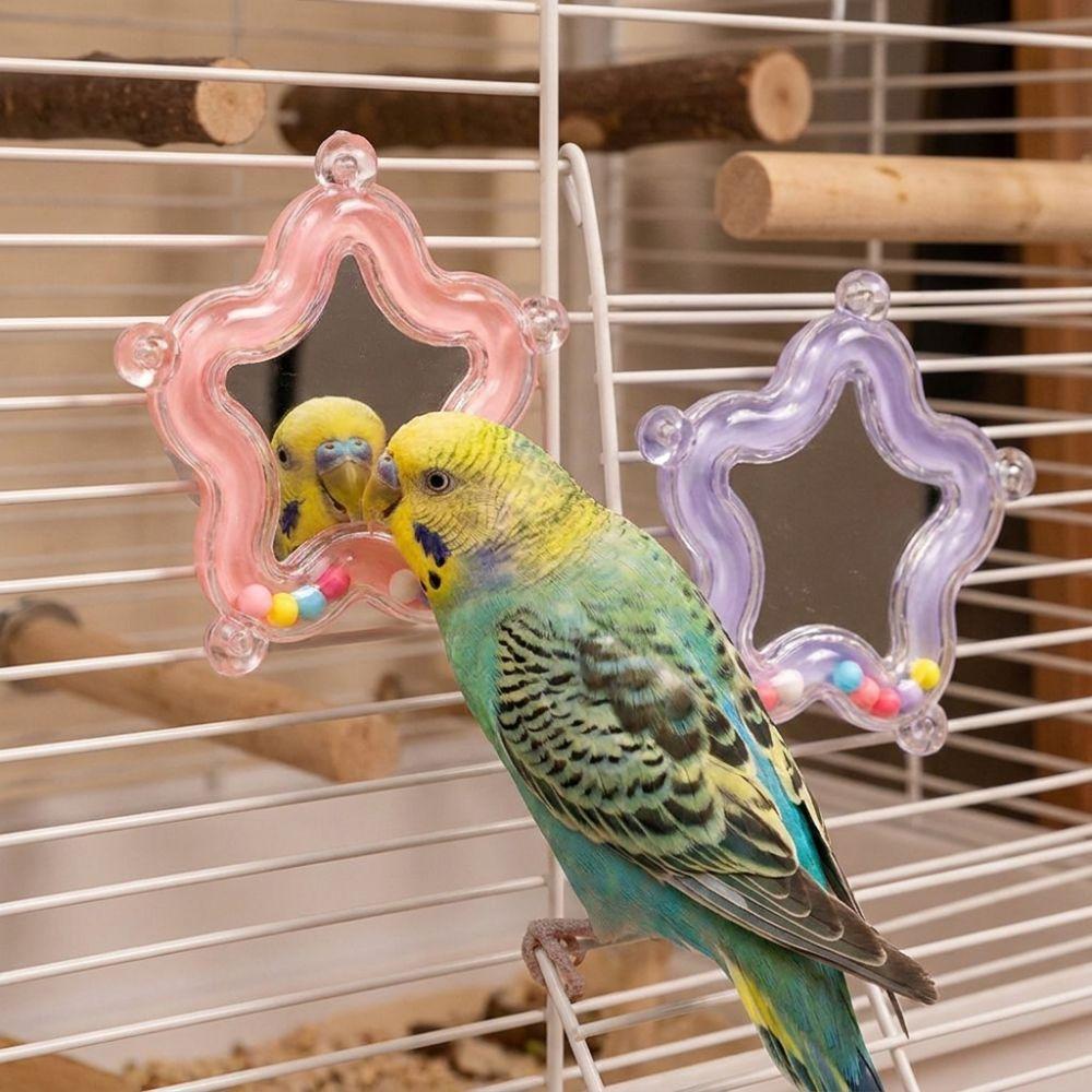 Colorful Beads Star Rotating Parrot Mirror Toy Mirror Parrot Interactive Toy Bird Supplies