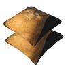 Rock Hyrax Photo Dassie Vampire Potato 2 pcs Square Pillowcase Pillow Cover Cushion Decor Comfort Throw Pillow for Home Bedroom